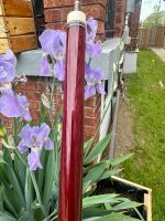 IMG_4560.jpeg