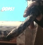 20250930_052822.jpg
