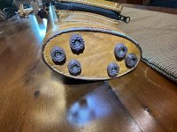 IMG_8310.jpeg
