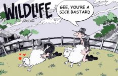 sheep_lover.jpg