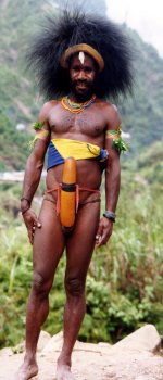 Why African.jpg