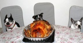 thanksgiving.jpg