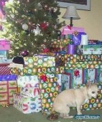 xmasgift.jpg