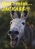 jackass_s.jpg