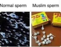 full-58855-273679-sperm.jpg