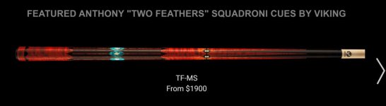 Viking Squadroni cue.jpg