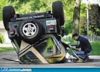 funny-picture-1018335224.jpg