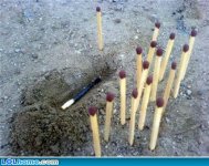funny-picture-1198360914.jpg