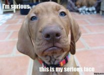 Funny_Pictures_57217.jpg
