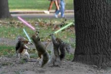 sabers.jpg