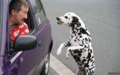 Funny_Pictures_57012.jpg
