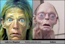 lady-in-a-mugshot-totally-looks-like-gollum.jpg