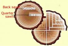 sawn_log.jpg