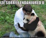 human-apologizes-to-panda1.jpg