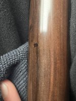 IMG_2724.jpeg IMG_2724.jpeg