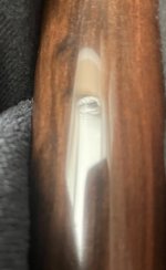 IMG_2725.jpeg IMG_2725.jpeg