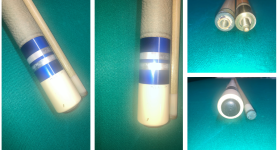 Palmer C3M4 Collage 2.png