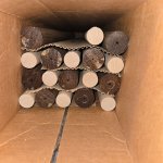 IMG_20251116_133525 (9).jpg