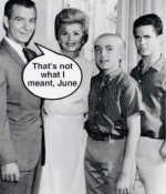 Shave the Beaver.jpg