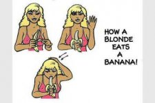 How-Blonde-Eats-Banana_500x500.jpg