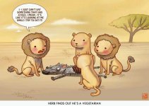 lion.jpg