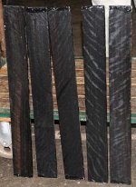 curly ebony.jpg
