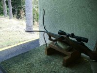 gun%20split%203.jpg