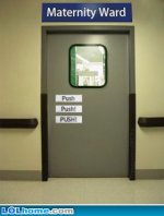 funny-picture-1188635782.jpg
