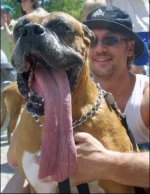 tongue.jpg