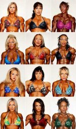 hotties.jpg