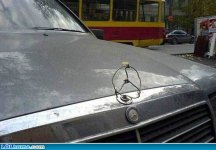 funny-picture-1404125582.jpg