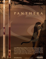 Screenshot 2025-09-24 at 11.05.29 PM.png