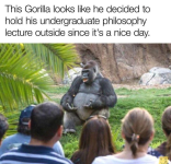 Screenshot 2026-02-21 003046.png