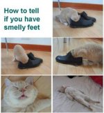 how-to-tell.jpg