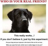 friend1247755323.jpg
