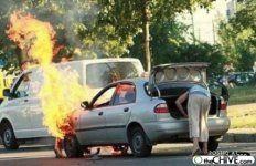 a-random-funny-pics-1-26-09-23.jpg