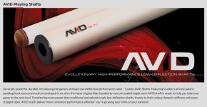 Cuetec Avid constructions.jpg