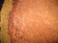 IMG_1689.jpg