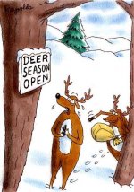 deerseason.jpg