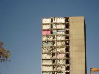 IMG_9817.jpeg