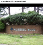 1776538366392.png