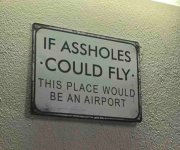 IMG_0043.jpeg