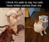 1777014786120.png
