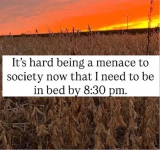 1777302452024.png