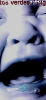 Screenshot_20260326-161835.jpg