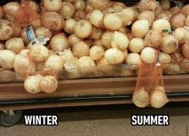 IMG_4619.jpeg