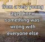 1777911255239.png