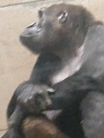 IMG_20260502_163739.jpg