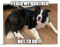 1778779988665.png