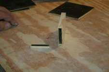 IMG_1489.jpg
